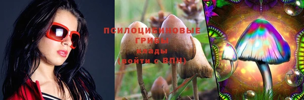 индика Алексин