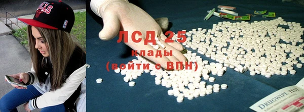 индика Алексин