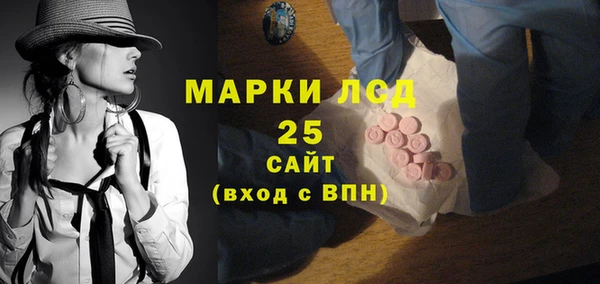индика Алексин