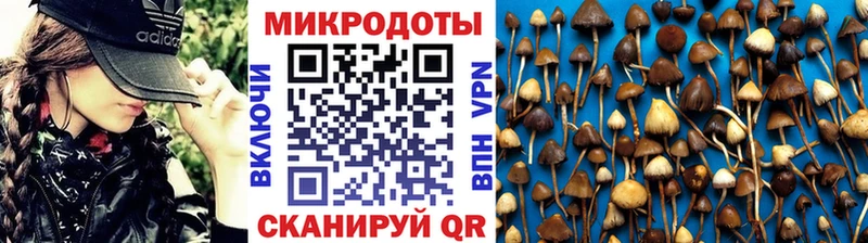 Галлюциногенные грибы мицелий  наркота  Дно 