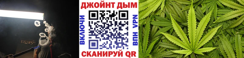 Каннабис OG Kush  Дно 